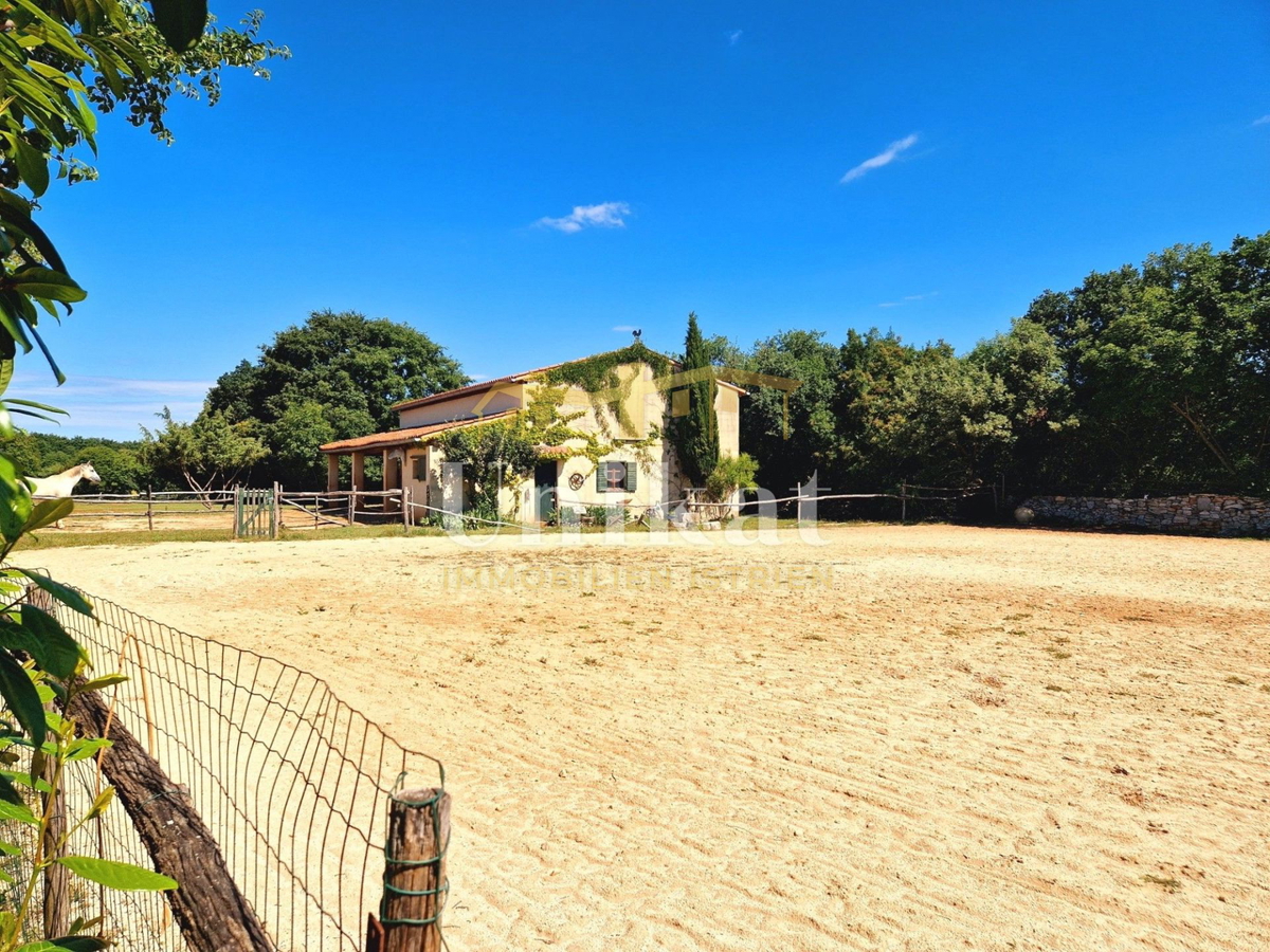 Avtentično posestvo s kamnito hišo in velikim zemljiščem